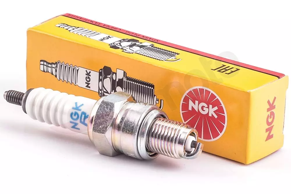 gmoto-1224080