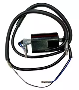 gmoto-1268309