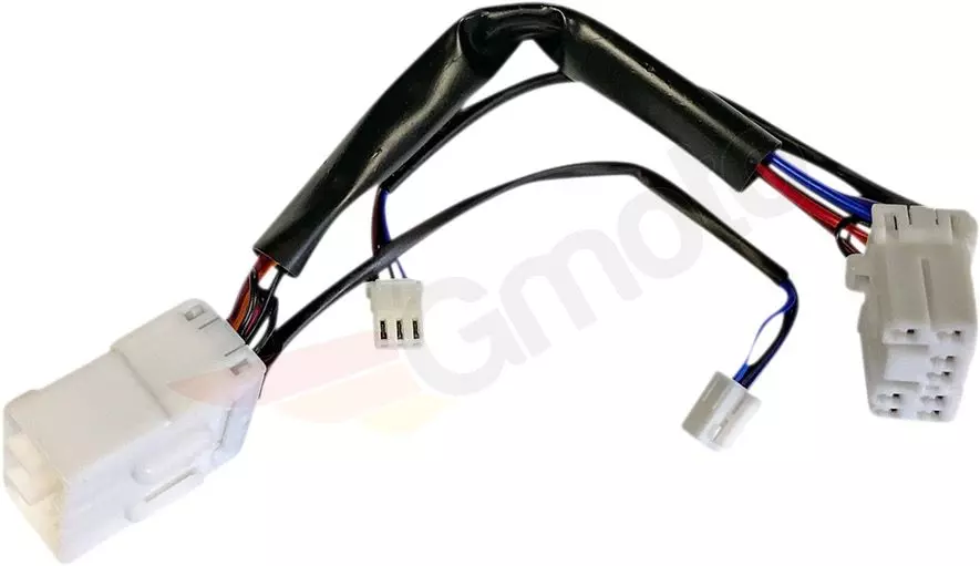 gmoto-1298003