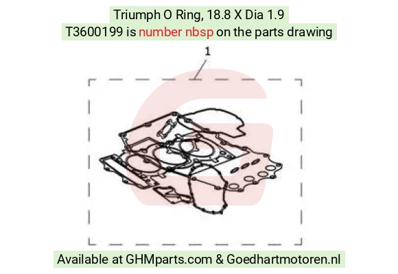 goedhartmotoren2-1320640
