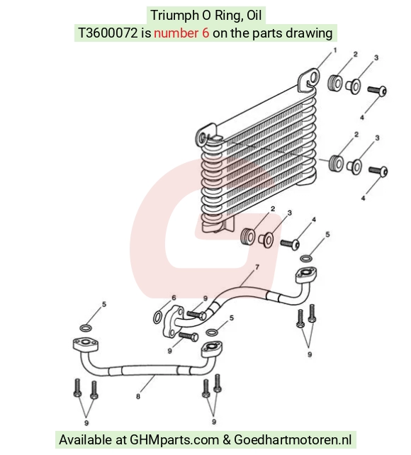 goedhartmotoren3-102876