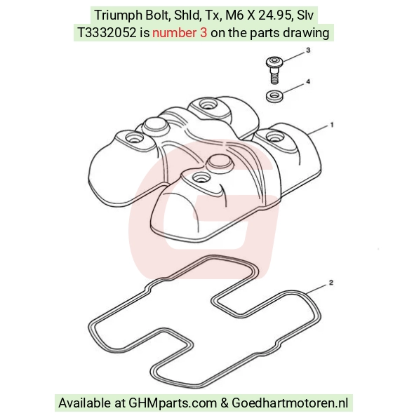 goedhartmotoren3-98999
