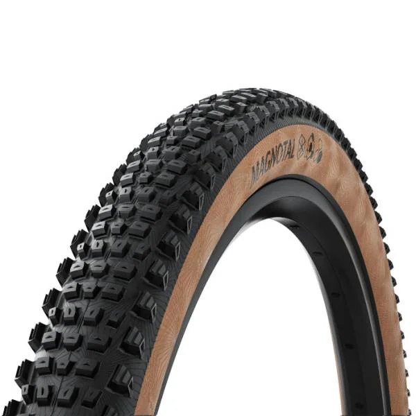 hollandbikeshop3-1395931
