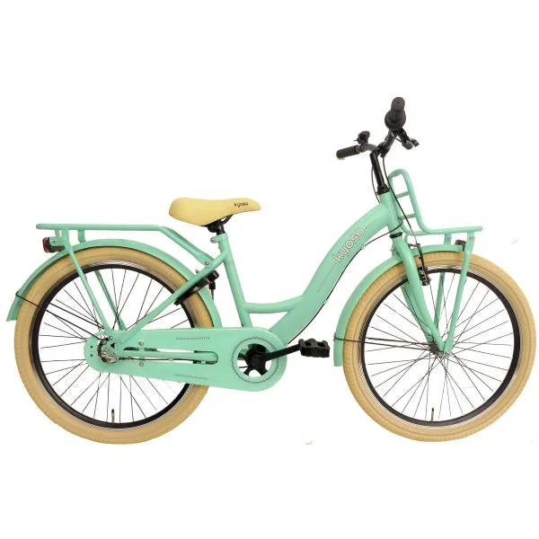 hollandbikeshop3-1465794