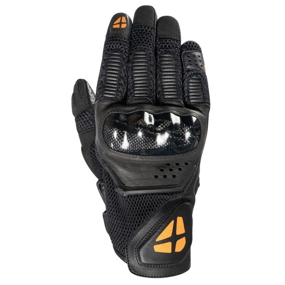 media.motoblouz2-255040