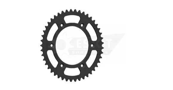 media.motoblouz5-145596